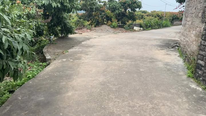 Đất nền Thôn Vối, Tân Yên 480m² - Sổ đỏ chính chủ!