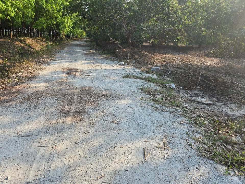 Đất nền Xã Tiến Hưng Đồng Xoài 19700m² - Sổ đỏ chính chủ!