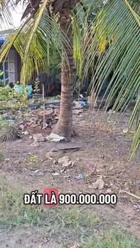 Đất nền Tân Hưng, Tây Ninh 510m² - Tiềm năng tăng giá!