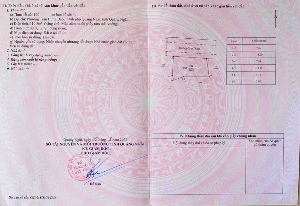 Đất Nền Mặt Tiền Cẩm Thành, Quảng Ngãi - 110m² Giá Tốt