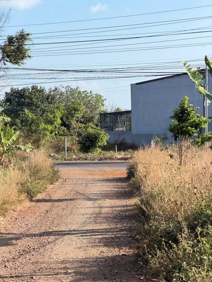 Nhà 110m² Phan Huy Chú, BMT - Giá 6.99 Tỷ, Hẻm Cấp 1