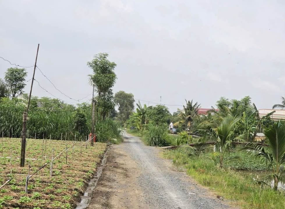 Đất Vườn Nghỉ Dưỡng Gò Công Đông - 350m² Giá 200 Triệu