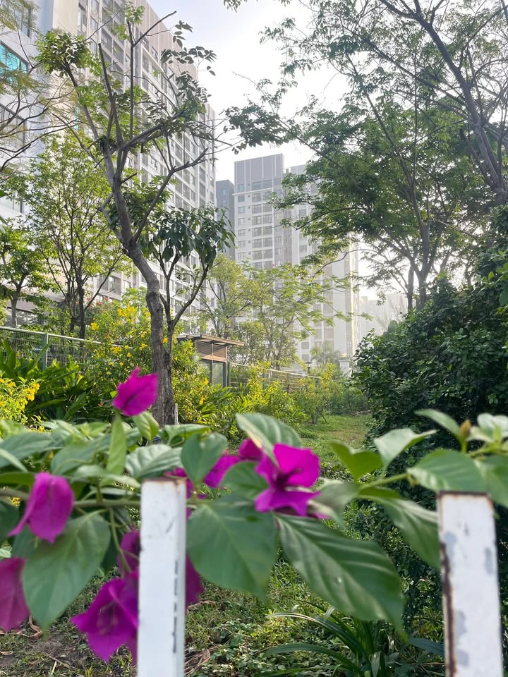 Cho thuê căn hộ 79m² Q.12 - 3PN, view hồ bơi, giá 12 triệu/tháng