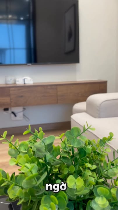 Căn hộ Ecopark 35m² giá 8 triệu/tháng - View đẹp đắt giá!