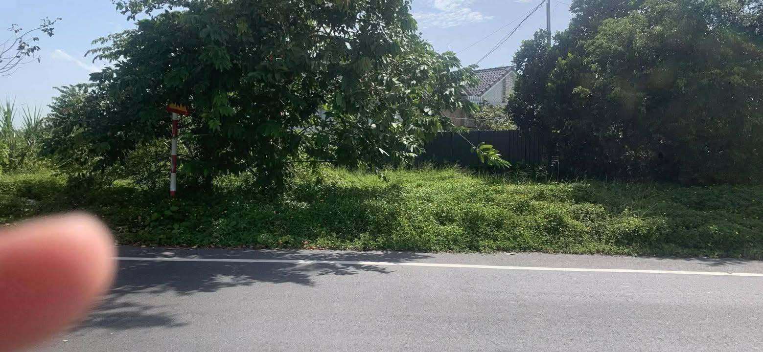 Bán Đất Mặt Tiền Đường 919, Cần Thơ - 1292m² Sổ Hồng, Giá 3.2 Tỷ