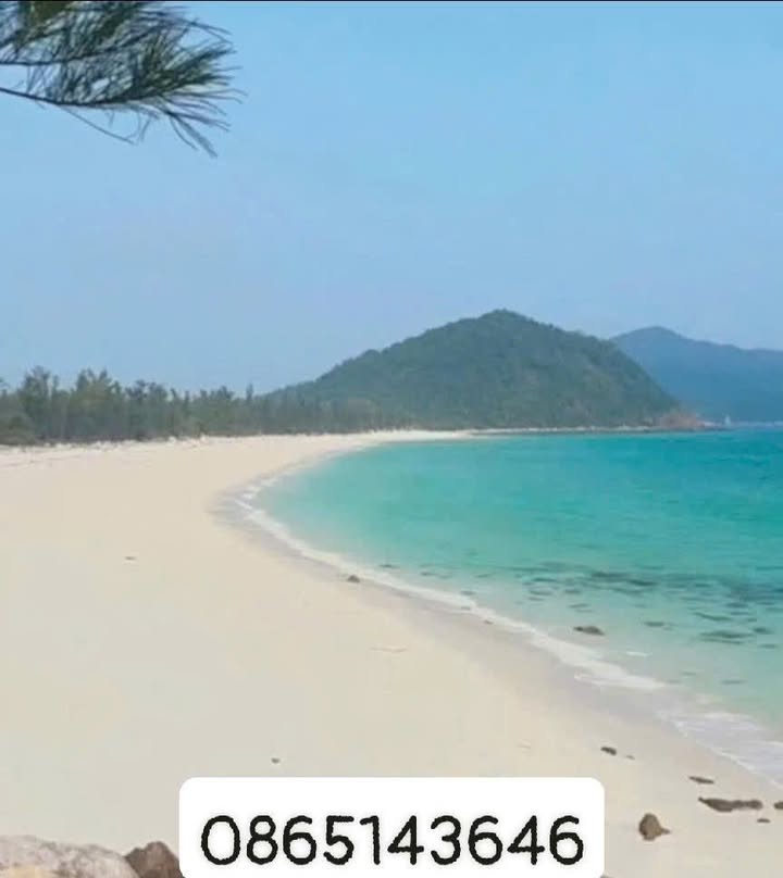 Đất Rừng Sản Xuất 3.3ha View Biển Minh Châu, Vân Đồn - Tiềm Năng Homestay Đỉnh Cao