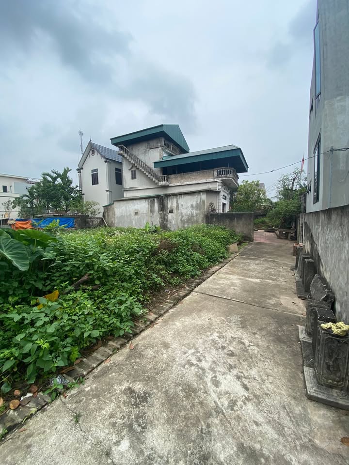 Đất nền Vin Olympic Thường Tín 60m² - Sổ đỏ sẵn sàng, tiềm năng sinh lời cao