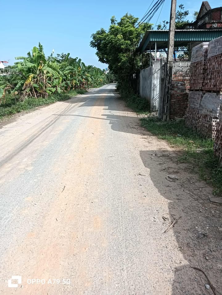 Đất nền Hậu Lộc 200m² - Xây dựng tự do, tiềm năng đầu tư