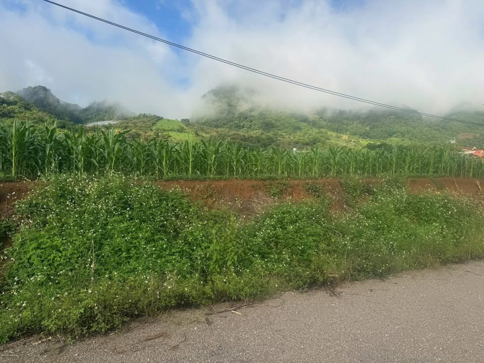 Đất nền Mộc Châu 172m² giá từ 3 tỷ - Sổ đỏ chính chủ