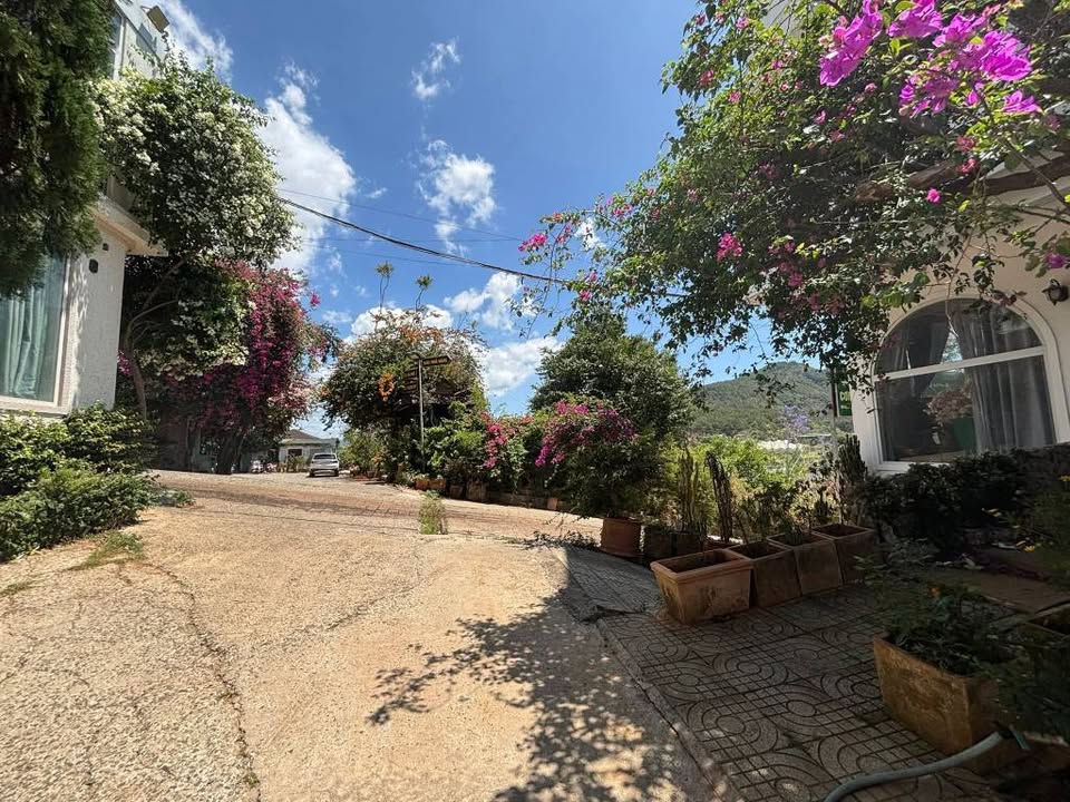 Đất nền Lộc Sơn, Bảo Lộc 160m² - Sổ đỏ chính chủ, tiềm năng sinh lời!