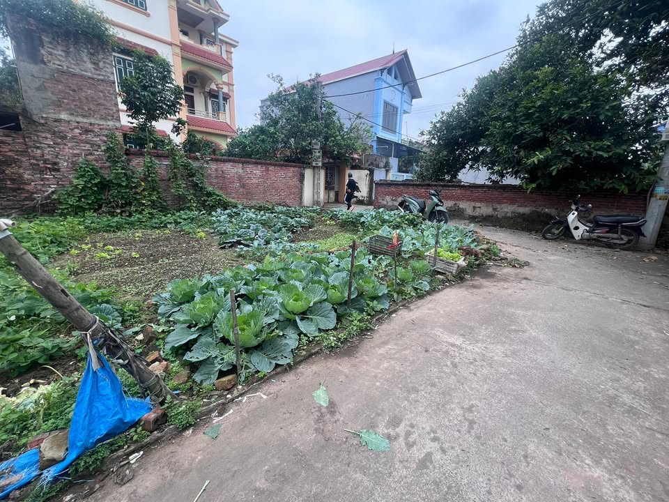 Đất nền Trà Lâm 77m² giá 2 tỷ - Đường to ô tô, sổ đỏ sẵn sàng!