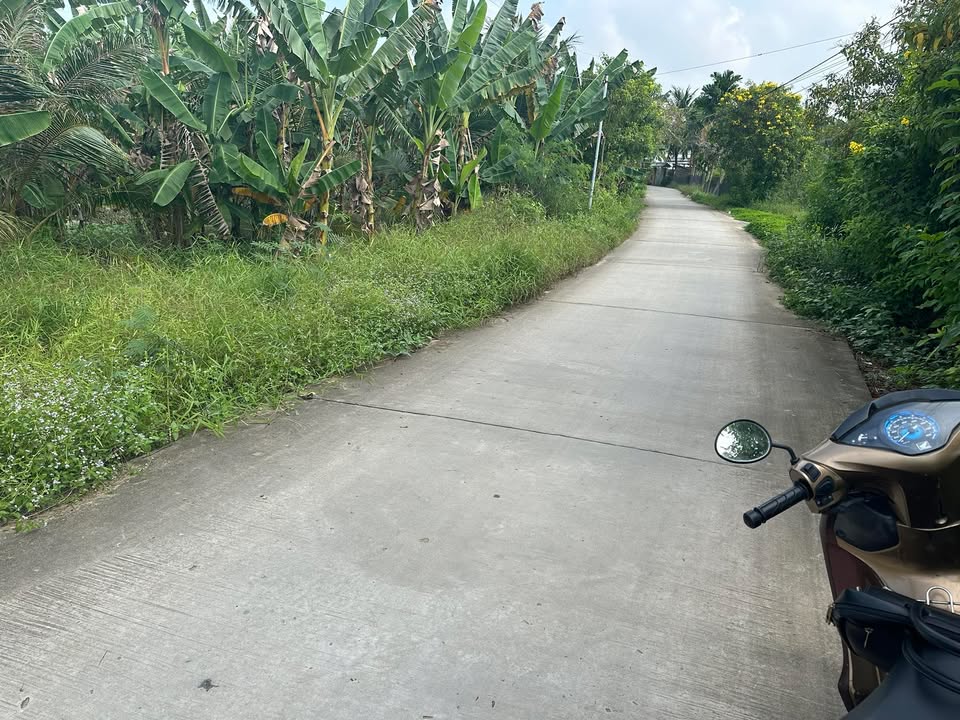 Đất nền Ấp An Phú Đông Sóc Trăng 1710m² - Xây dựng tự do!