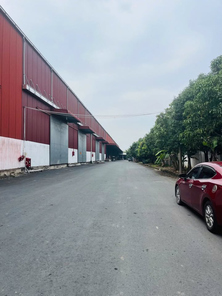 Cho thuê kho 10.000m² Cần Thơ - Chuẩn PCCC, Container - Giá 65.000đ/m²