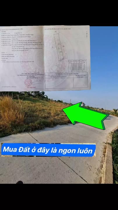 Đất nền Hàm Cường, Hàm Thuận Nam 287m² - Sổ đỏ chính chủ, giá tốt!