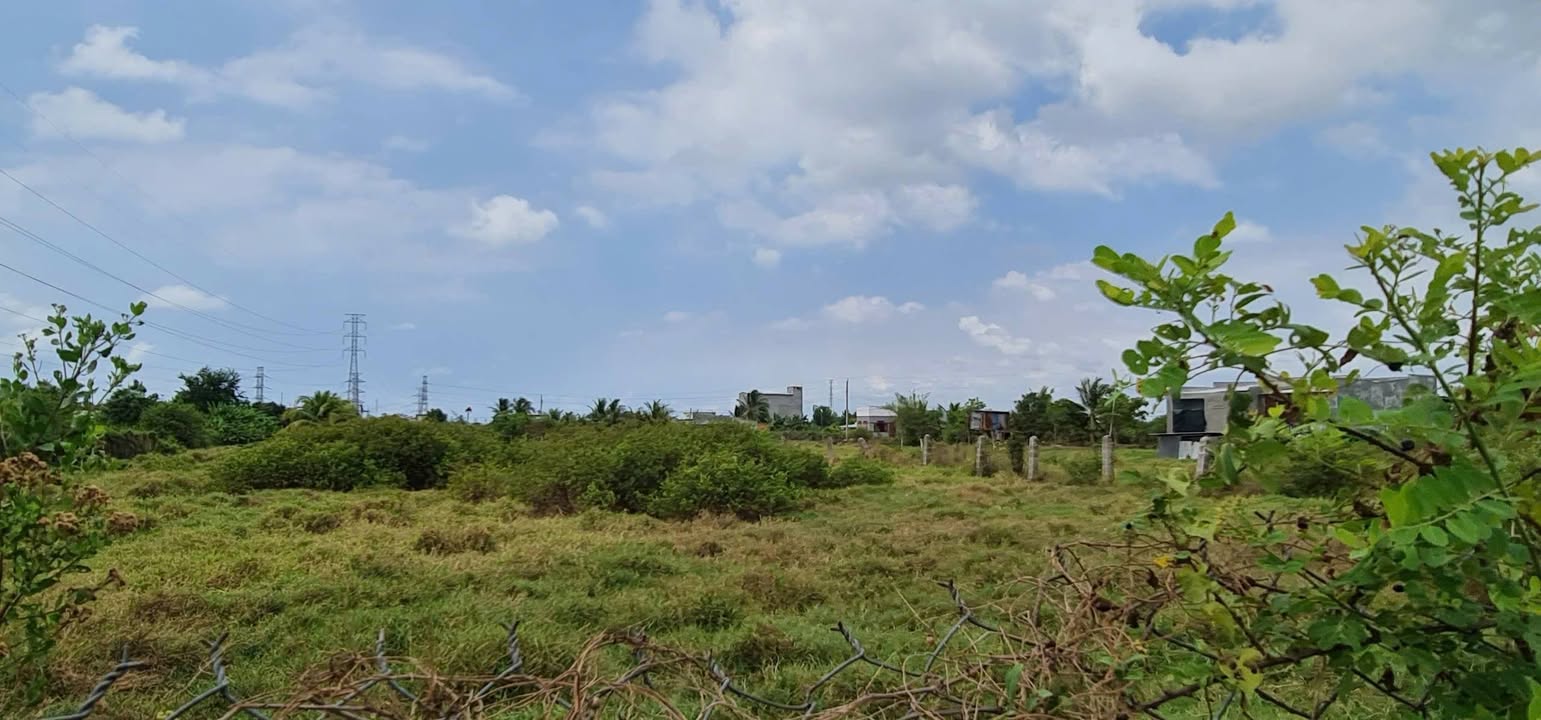 Bán Đất Vườn Hàm Liêm 3 Sào - Sổ Đỏ Riêng, Giá Tốt