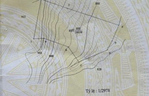 Đất Rừng 28.000m² Sổ Đỏ Tại Đại Lộc, Quảng Nam - Giá Tốt