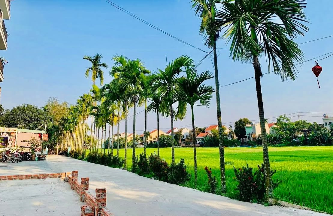 Đất nền Phường Tân An Hội An 80m² 2 tỷ - Đường to ô tô