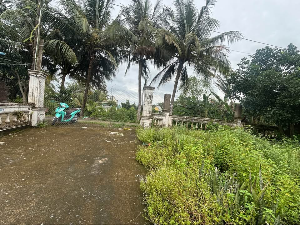 Đất nền 1731m² Mỹ Thọ, Cao Lãnh - Sổ đỏ chính chủ, full thổ cư!