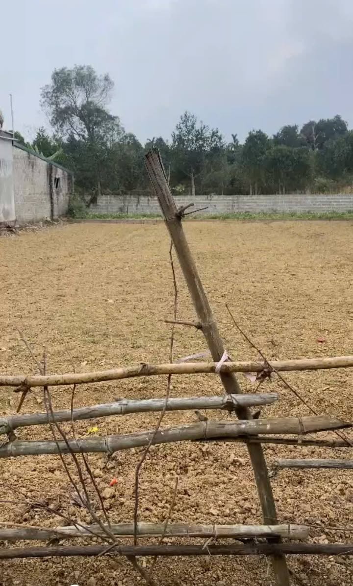 Đất nền Gia Sơn, Nho Quan 200m² chỉ từ 8xx triệu - Sổ đỏ chính chủ!