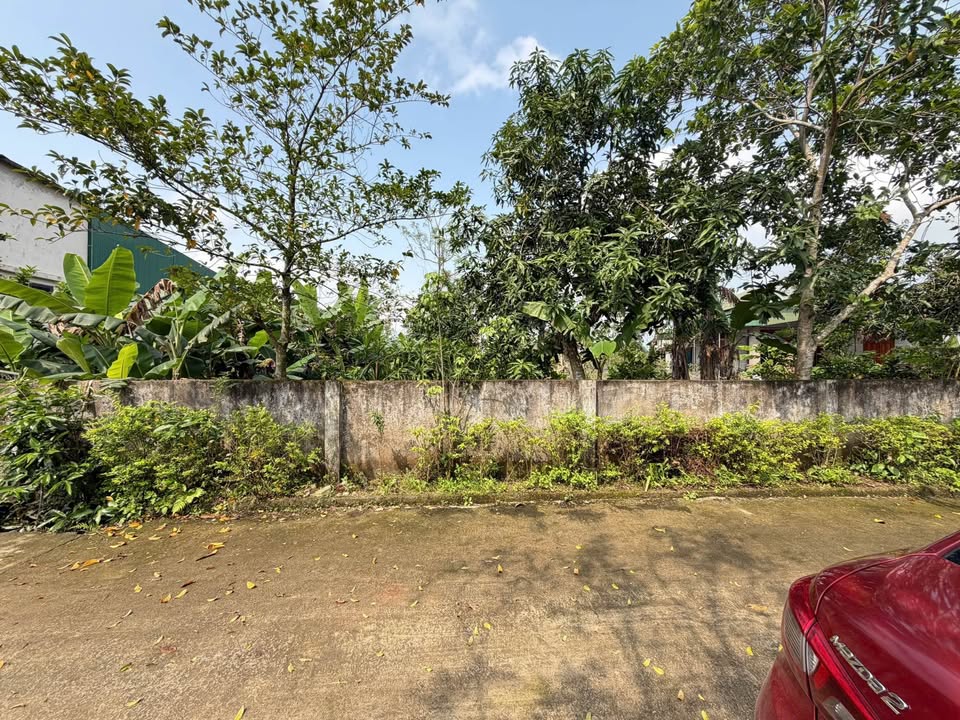 Đất Thạch Đài, Hà Tĩnh - 207m² - Hướng Đông - Giá Tốt