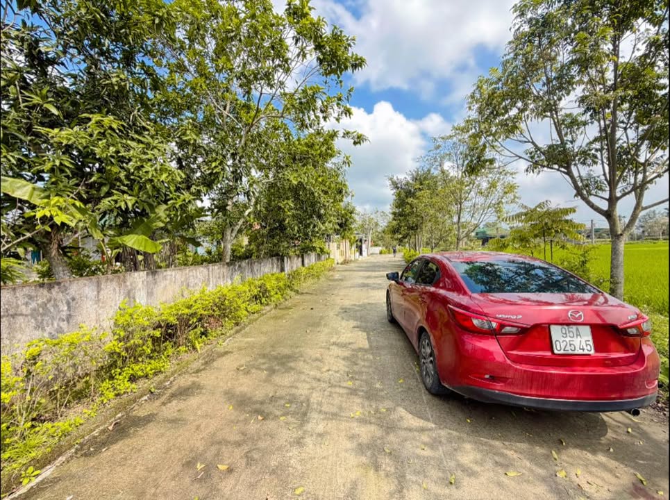 Bán đất Thạch Đài, Hà Tĩnh 207m² - Sổ đỏ thổ cư, gần trường Lê Quý Đôn