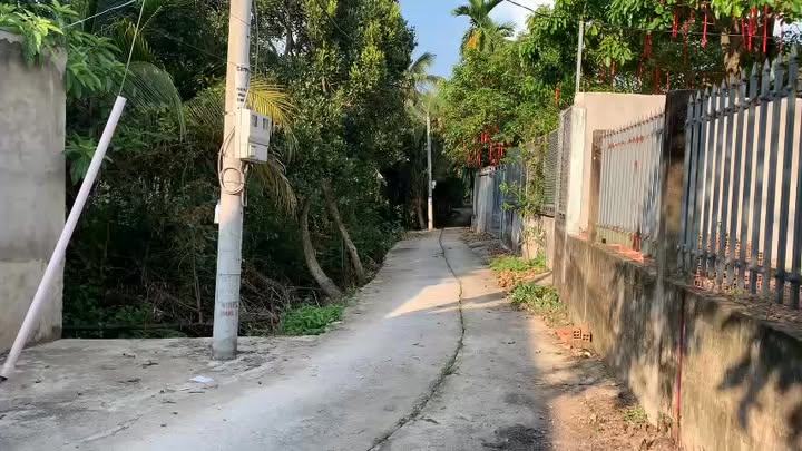 Đất nền Cai Lậy 85m² 290 triệu – Sổ đỏ chính chủ, ô tô vào tận nơi!