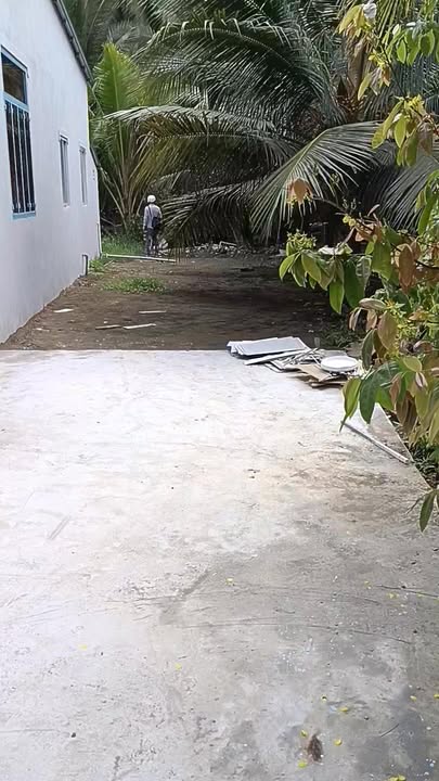 Nhà 596m² Ấp An Cư, Chợ Gạo - 800 Triệu Sẵn Sổ