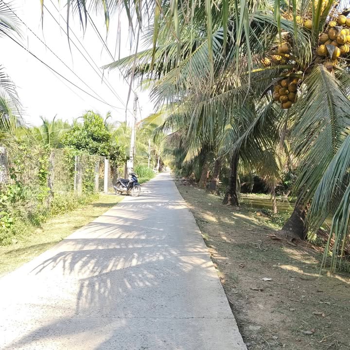 Bán Đất Vườn Tiền Giang 3500m² - Vị Trí Đẹp, Giá Tốt