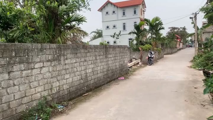 Đất nền Tân Bình Hải Dương 100m² 1 tỷ - Đất thổ cư 100%