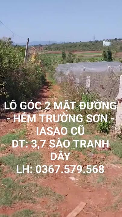 Bán Đất Vườn Gia Lai 3700m² - Vườn Chanh Dây Trĩu Quả, Sẵn Sàng Khai Thác