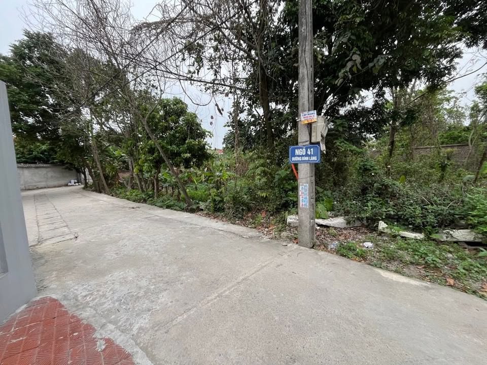 Đất nền Tiên Dược Sóc Sơn 346m² - Đất thổ cư 100%, ô tô vào tận nơi!