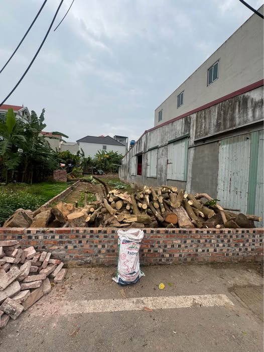 Đất nền Đan Phượng 93,3m² - Vị trí đắc địa, Tiềm năng tăng giá!