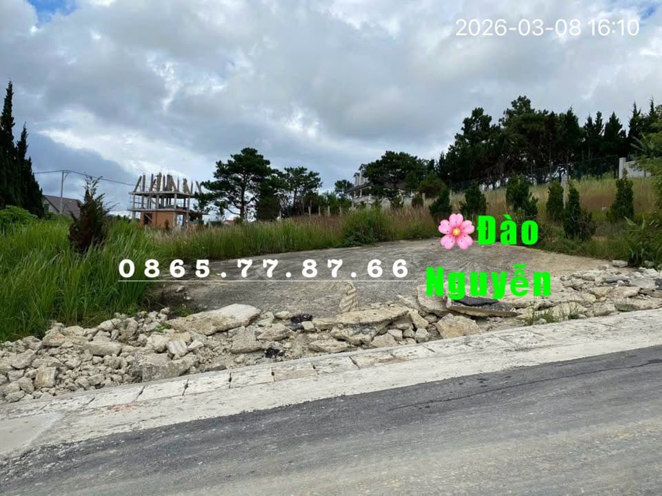 Đất Nền Đà Lạt 860m² - Mặt Tiền Đường Lớn, View Đồi Hoàng Gia