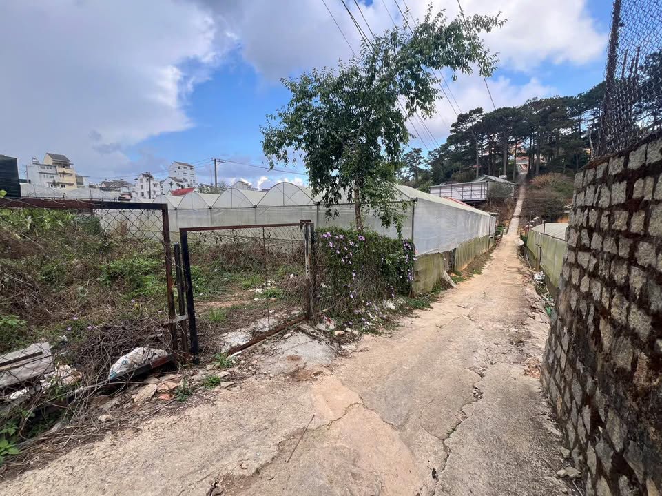 Đất Vàng Đà Lạt 130m² Sổ Đỏ Full Thổ Cư - Giá 4.2 Tỷ Đầu Tư Sinh Lời