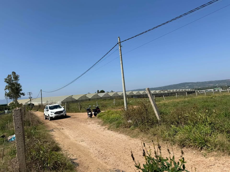 Đất Vườn Tân Hội 10.000m² 20.833 tỷ - Sinh thái xanh lý tưởng!