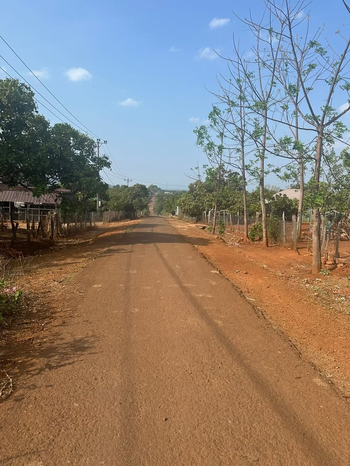 Đất nền Krông Búk 600m² giá chỉ 800 triệu - Tiềm năng tăng giá!