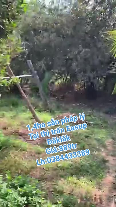 Bán Gấp Đất Vườn 14.000m² Thị Trấn Ea Sup - Suối Bao Quanh, Giá 889 Triệu