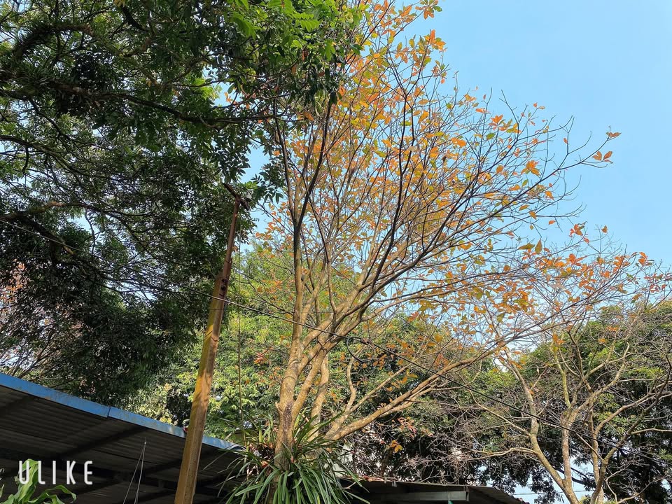 Nhà 2 Tầng Sát TĐC Tân Long, Thái Nguyên - 84m², Giá 1 Tỷ