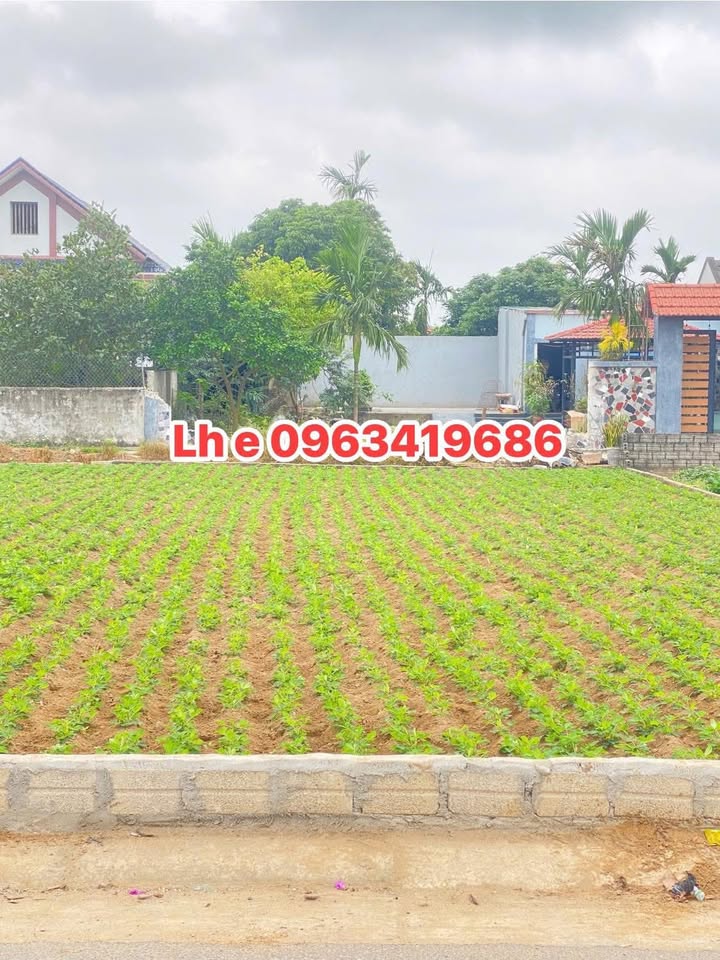 Đất nền Nga Sơn Thanh Hóa 169m² 500 triệu - Hạ tầng hoàn thiện