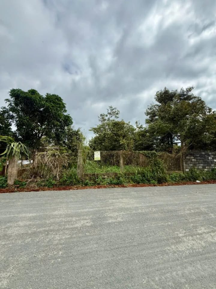 Đất Mặt Tiền Âu Cơ, Buôn Hồ - 600m² Sổ Đỏ, Giá Tốt 171 Tỷ