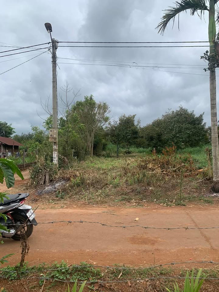 Đất nền Buôn Hồ 189m² - Lô góc 2 mặt tiền, pháp lý rõ ràng!