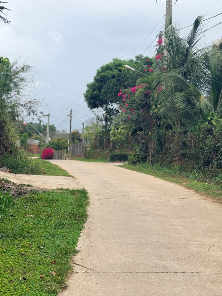 Đất nền Ea Knốp, Đắk Lắk - 480m² | Sổ đỏ sẵn, giá chỉ 9xx triệu