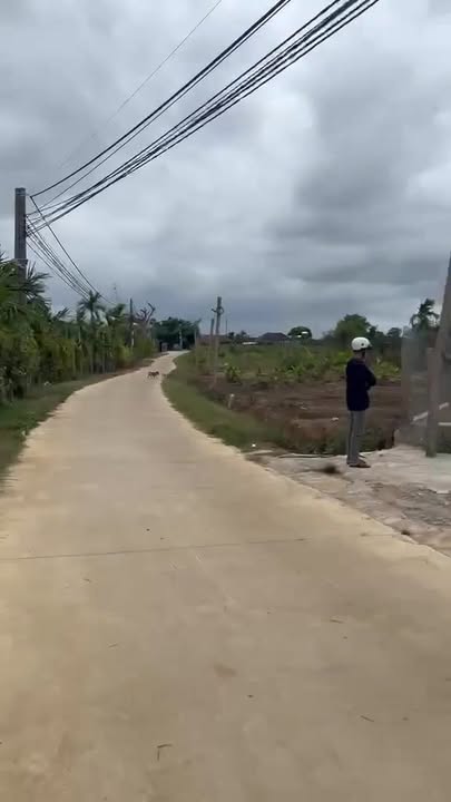 Đất Vườn Đắk Lắk 6000m² - Sổ Hồng Sẵn Sàng