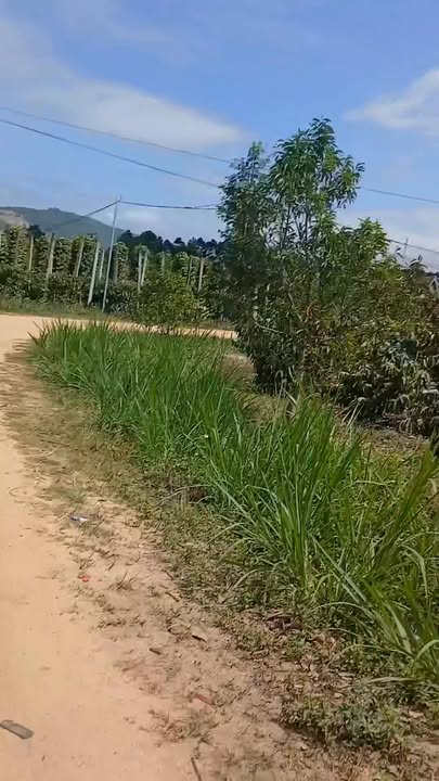 Đất vườn Ea Păl 1.4ha - Chỉ 3 tỷ - Đầu tư sinh lời!