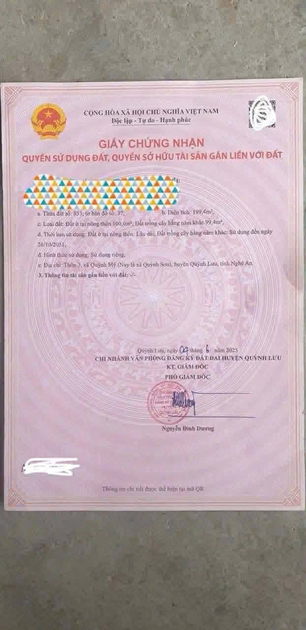 Đất nền 200m² Quỳnh Lưu, Nghệ An - Sổ đỏ sẵn sàng giao dịch