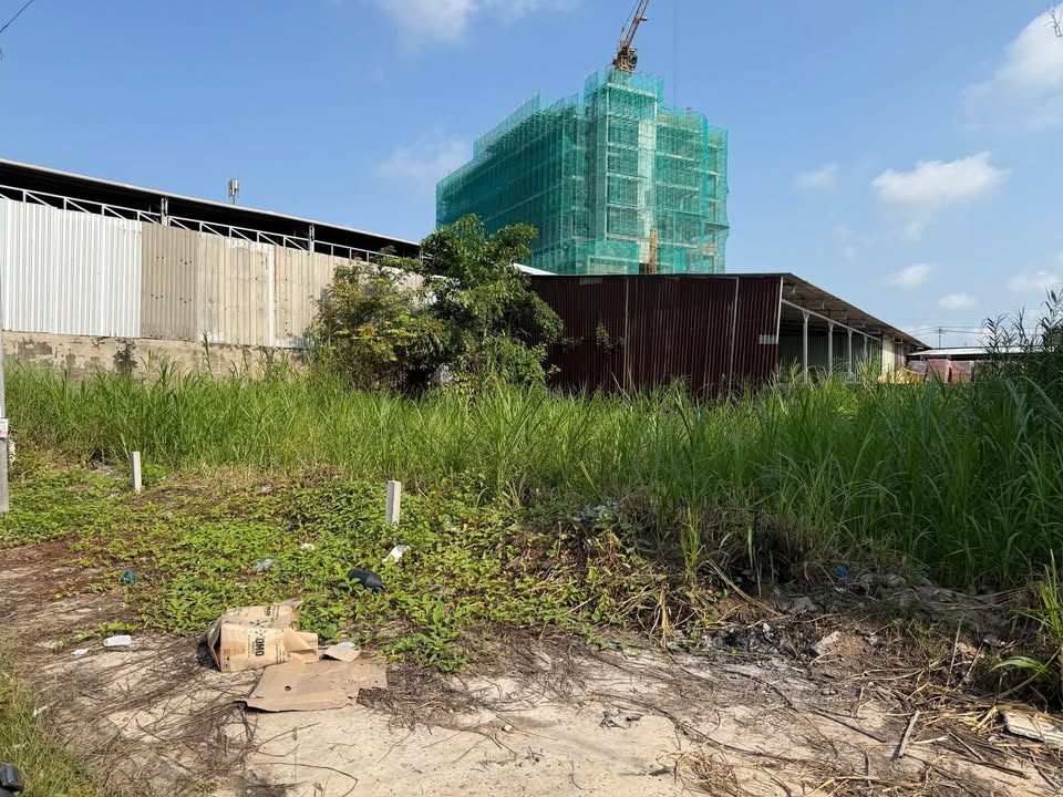 Bán Nền 82m² Xã Tân Phú Thạnh, Hậu Giang - Gần BV Số 10, Giá 1.2 Tỷ