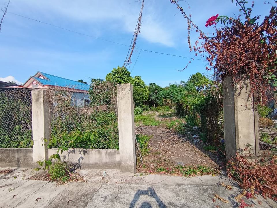 Đất nền Đường số 8 Long Điền 308m² - Sổ đỏ chính chủ, tiềm năng sinh lời!