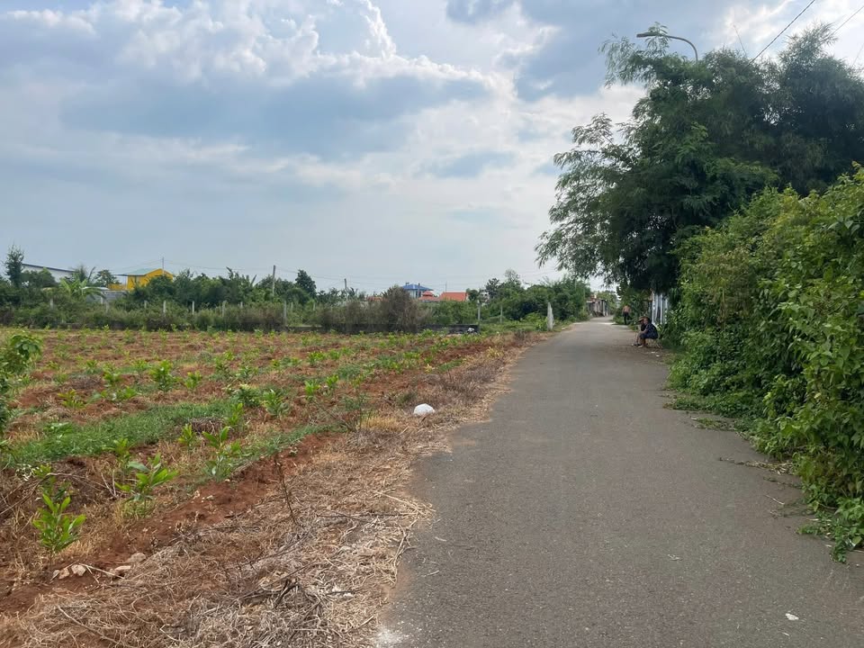 Đất nền Long Phước, Bà Rịa 359m² - Sổ đỏ chính chủ, đường nhựa ô tô!