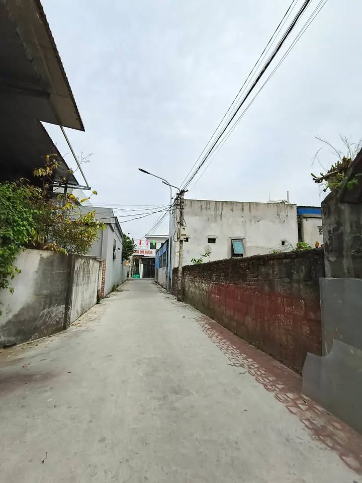 Đất nền An Lão 776m² - Sổ đỏ chính chủ, giá đầu tư tốt