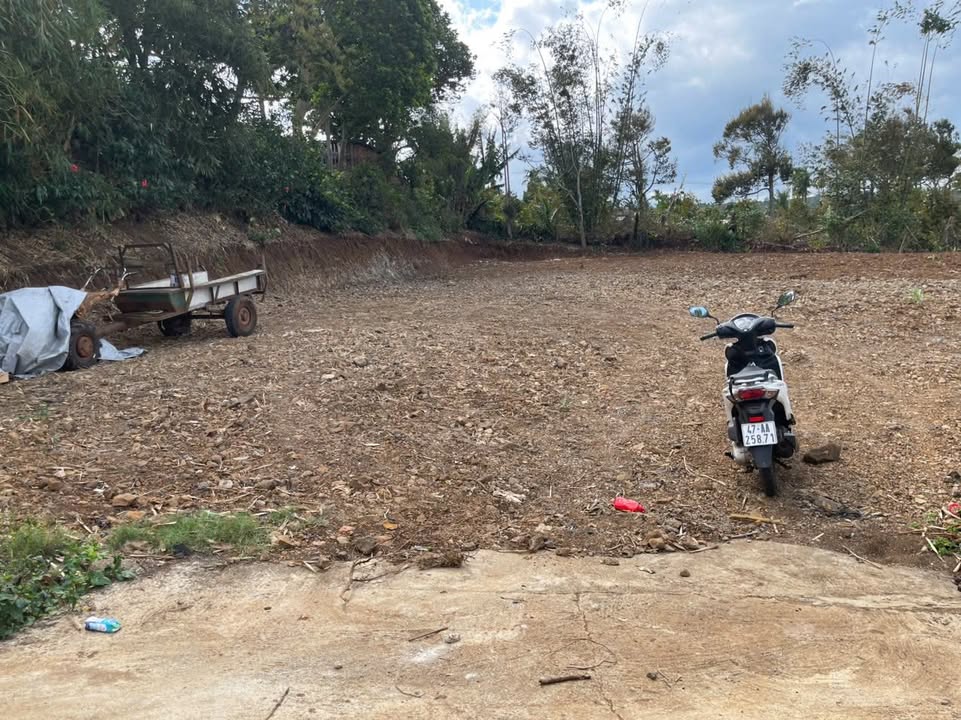 Đất Nền Phú Xuân, Đắk Lắk - 390m² - Sổ Hồng Sẵn Sàng